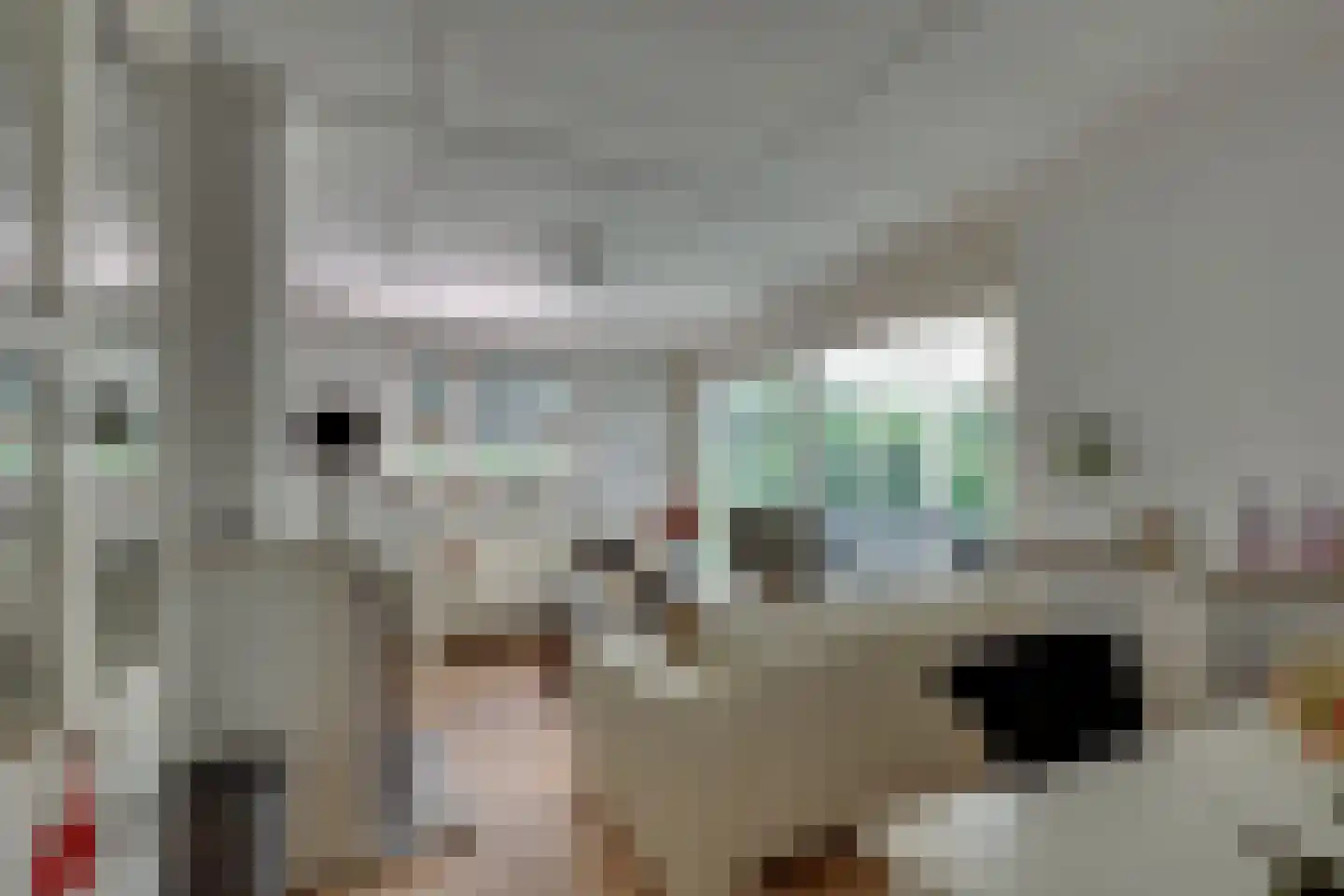 Vianenweg 50 Holten thumbnail 6