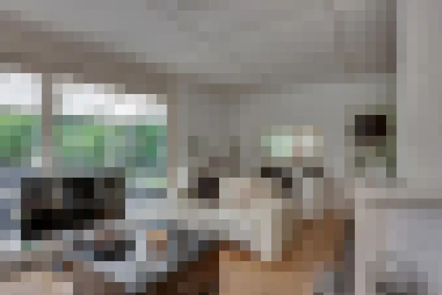 Vianenweg 50 Holten thumbnail 8