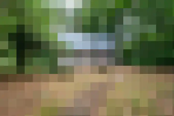 Vianenweg 52 Holten thumbnail 5