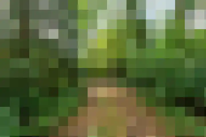 Vianenweg 52 Holten thumbnail 6