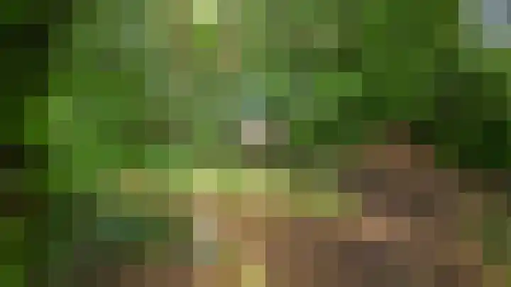 Vianenweg 52 Holten thumbnail 7