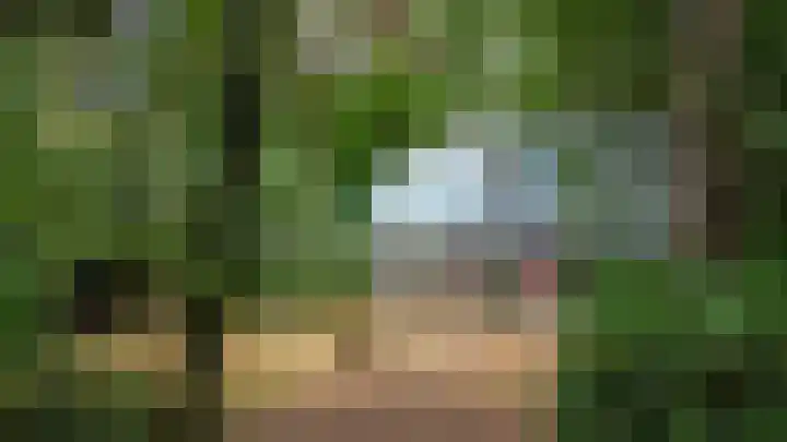 Vianenweg 52 Holten thumbnail 8