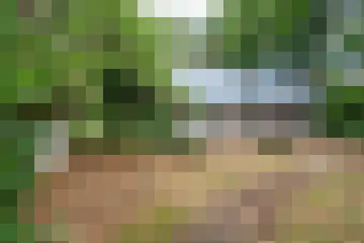 Vianenweg 52 Holten thumbnail 9