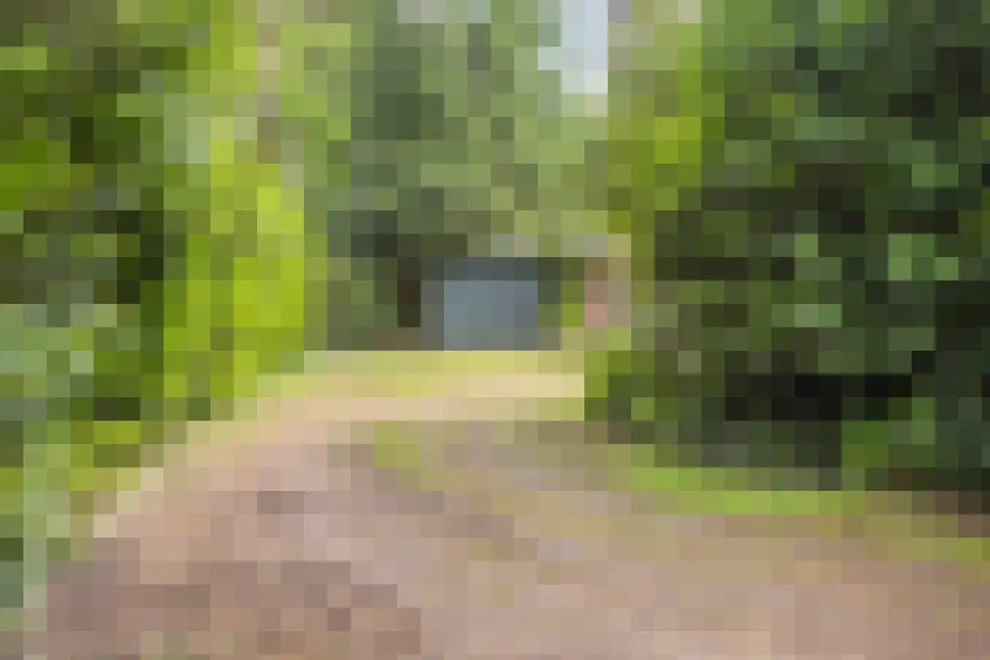 Vianenweg 93 Holten thumbnail 32