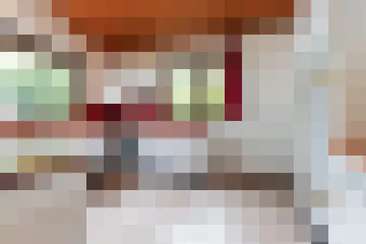 Vic.van Alphenlaan 7 Boxtel thumbnail 15