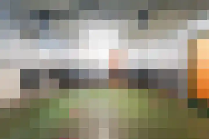 Vic.van Alphenlaan 7 Boxtel thumbnail 33