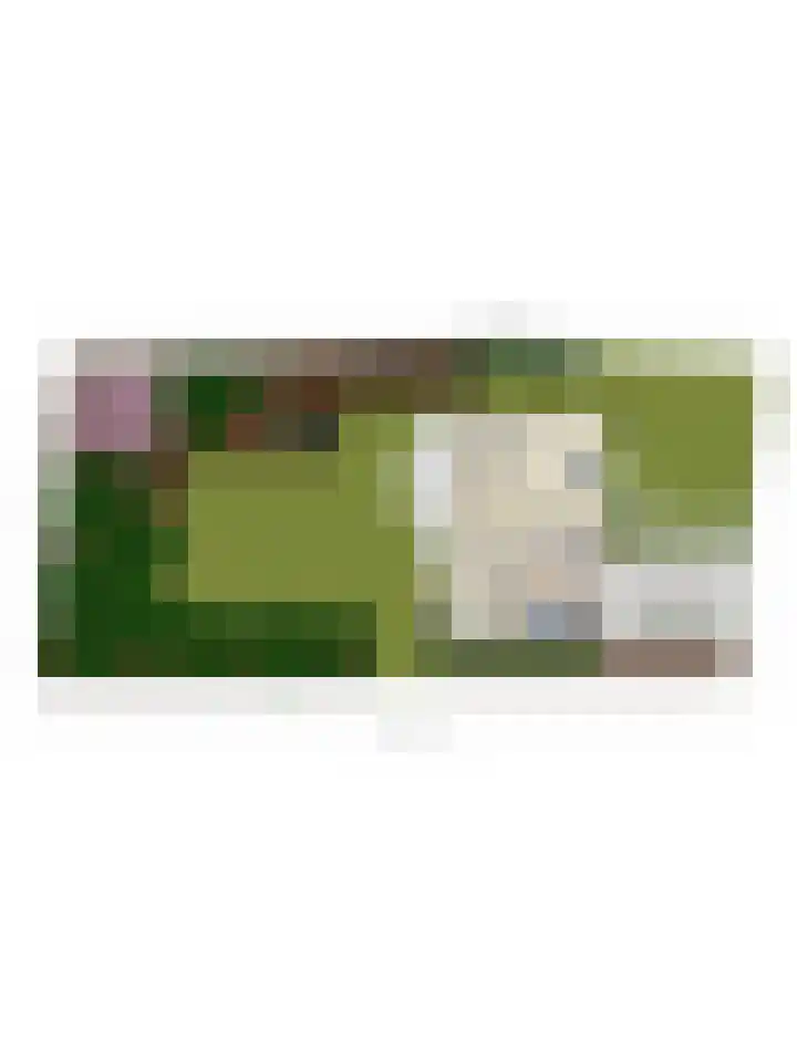 Vic.van Alphenlaan 7 Boxtel thumbnail 62