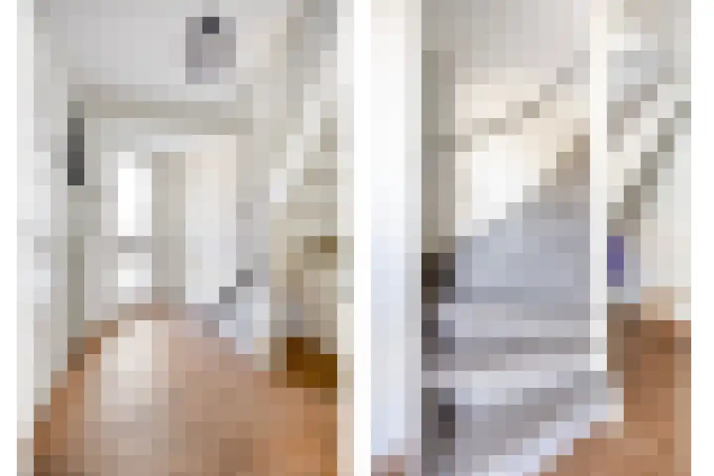 Vicarie 5 Heteren thumbnail 12