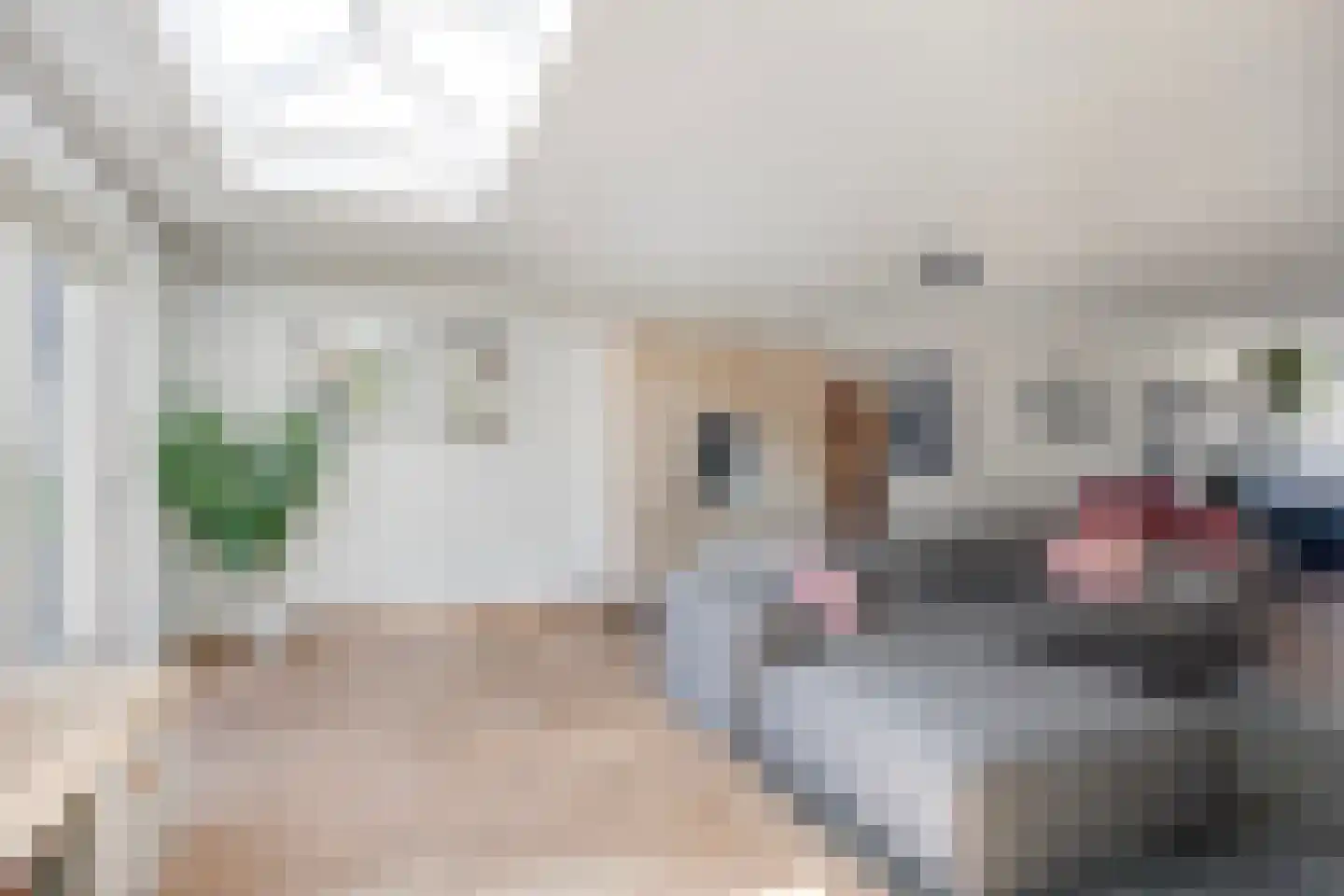 Vicarie 5 Heteren thumbnail 17