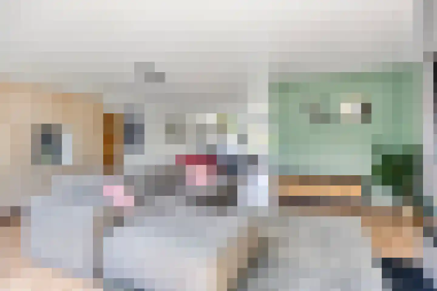 Vicarie 5 Heteren thumbnail 18