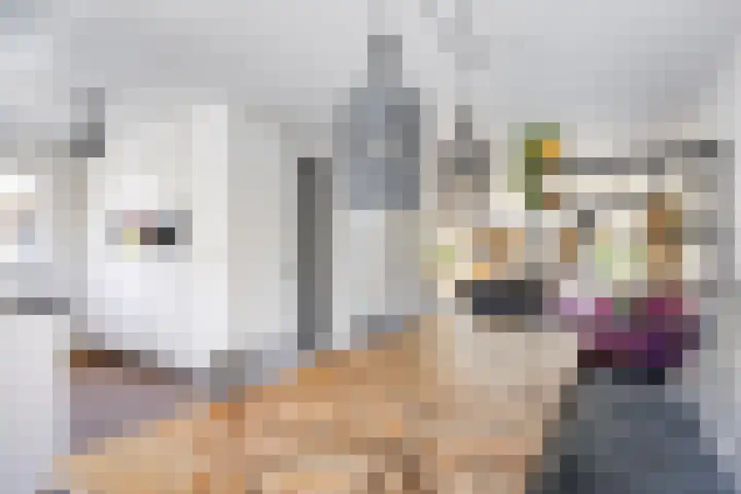 Vicarie 5 Heteren thumbnail 23