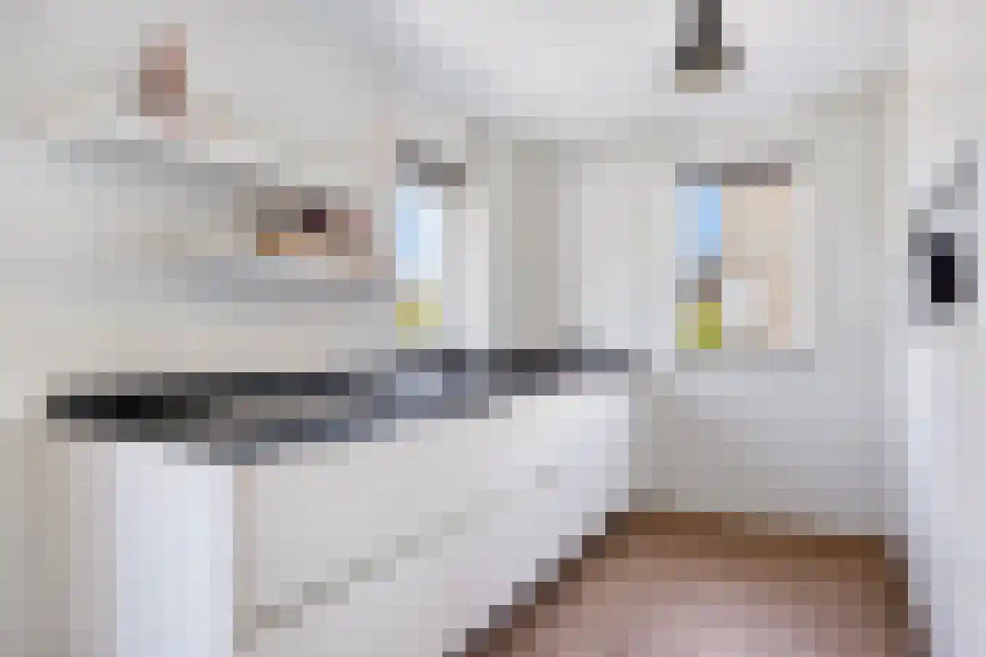 Vicarie 5 Heteren thumbnail 24