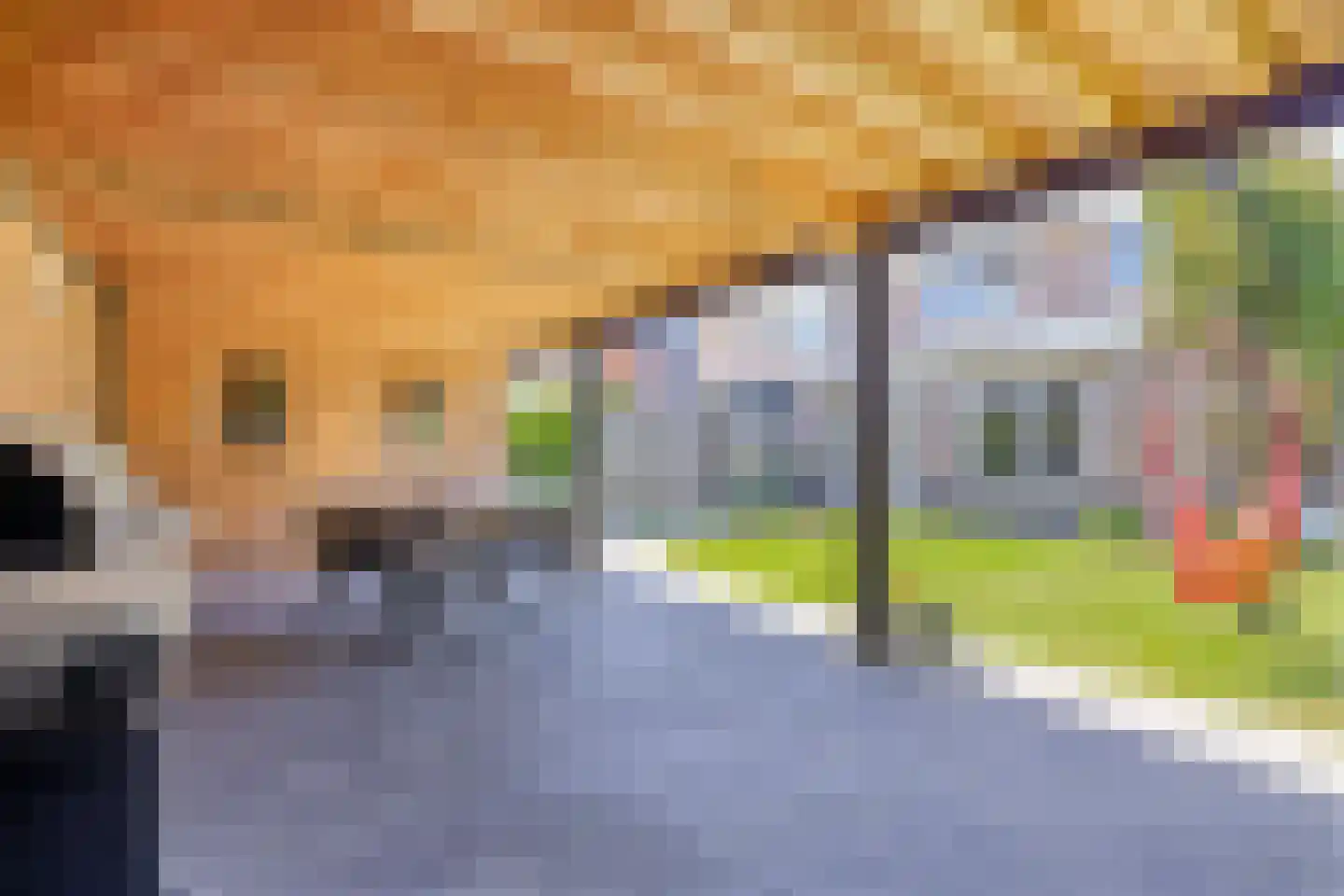 Vicarie 5 Heteren thumbnail 56