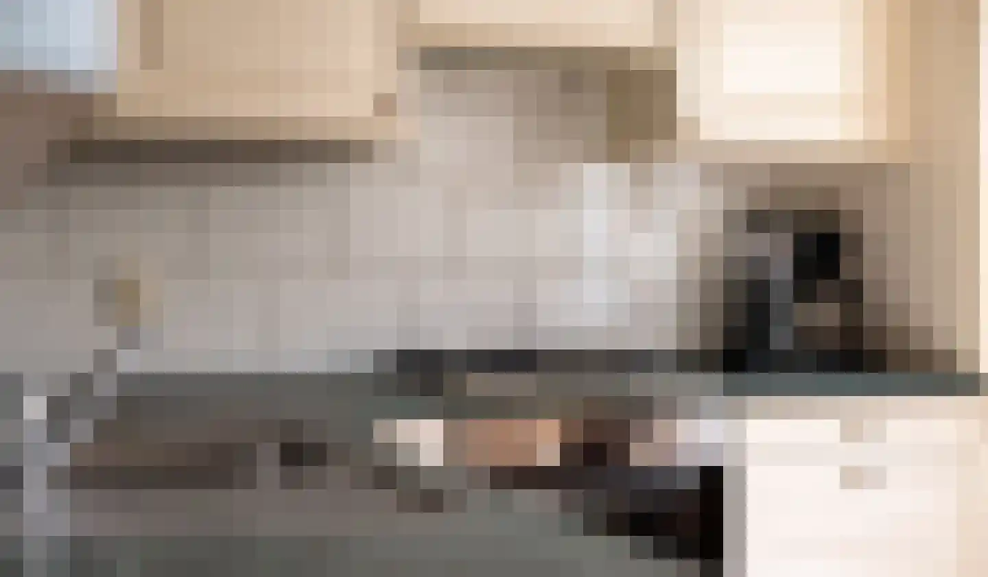 Vicarie 6 Holten thumbnail 15