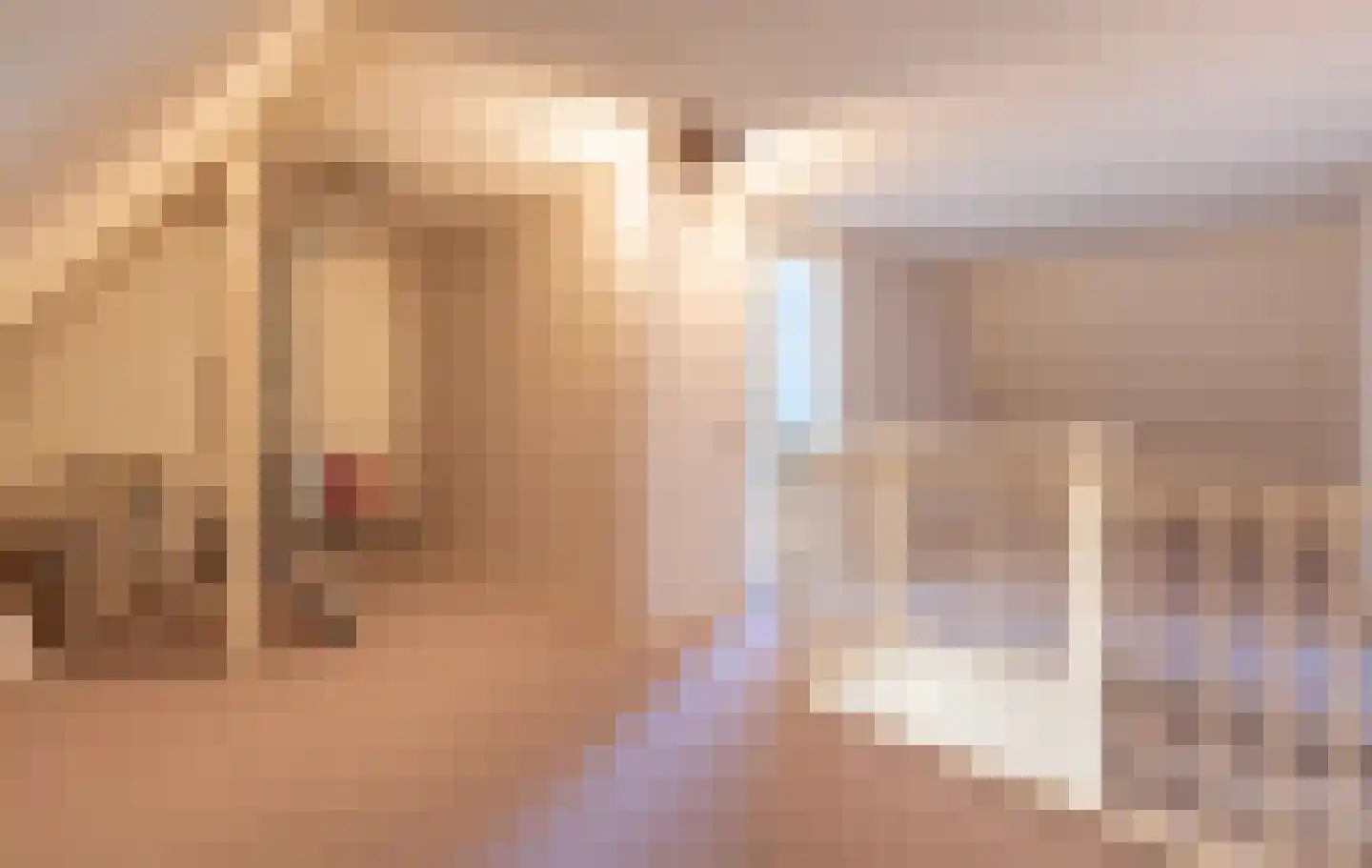 Vicarie 6 Holten thumbnail 28