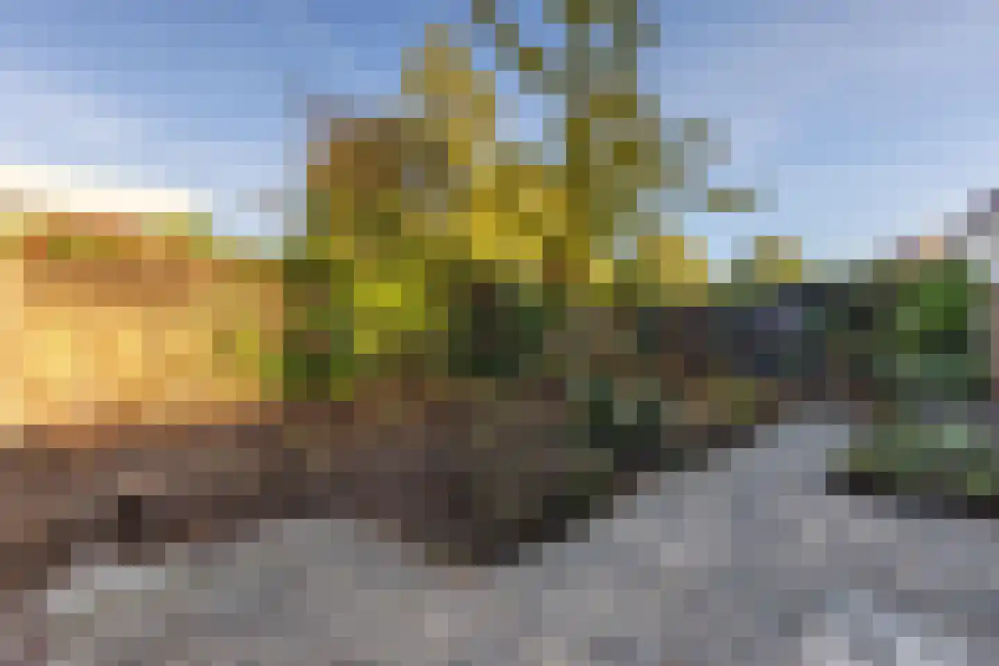 Vicarie 6 Holten thumbnail 30