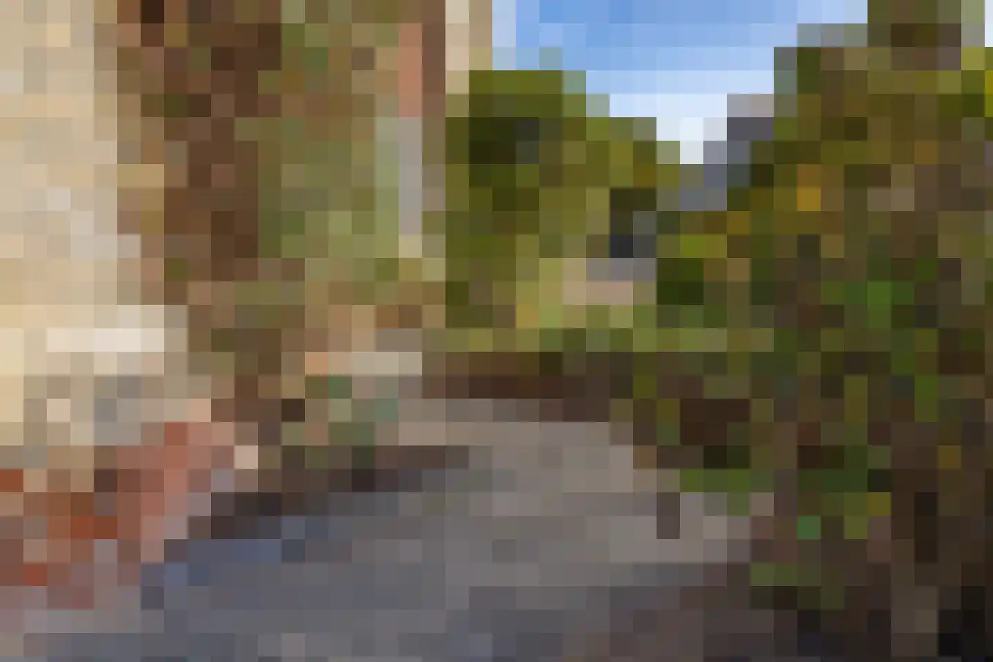 Vicarie 6 Holten thumbnail 34