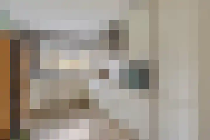 Vicarie 74 Heteren thumbnail 15