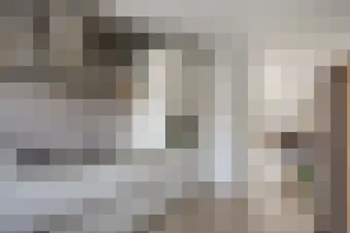 Vicarie 74 Heteren thumbnail 17