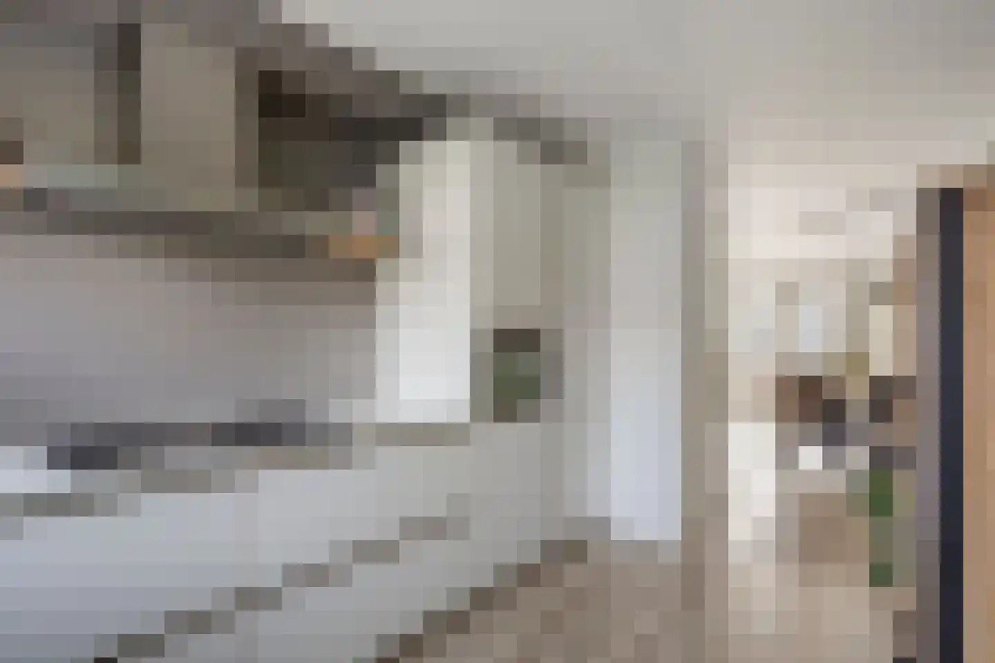 Vicarie 74 Heteren thumbnail 17