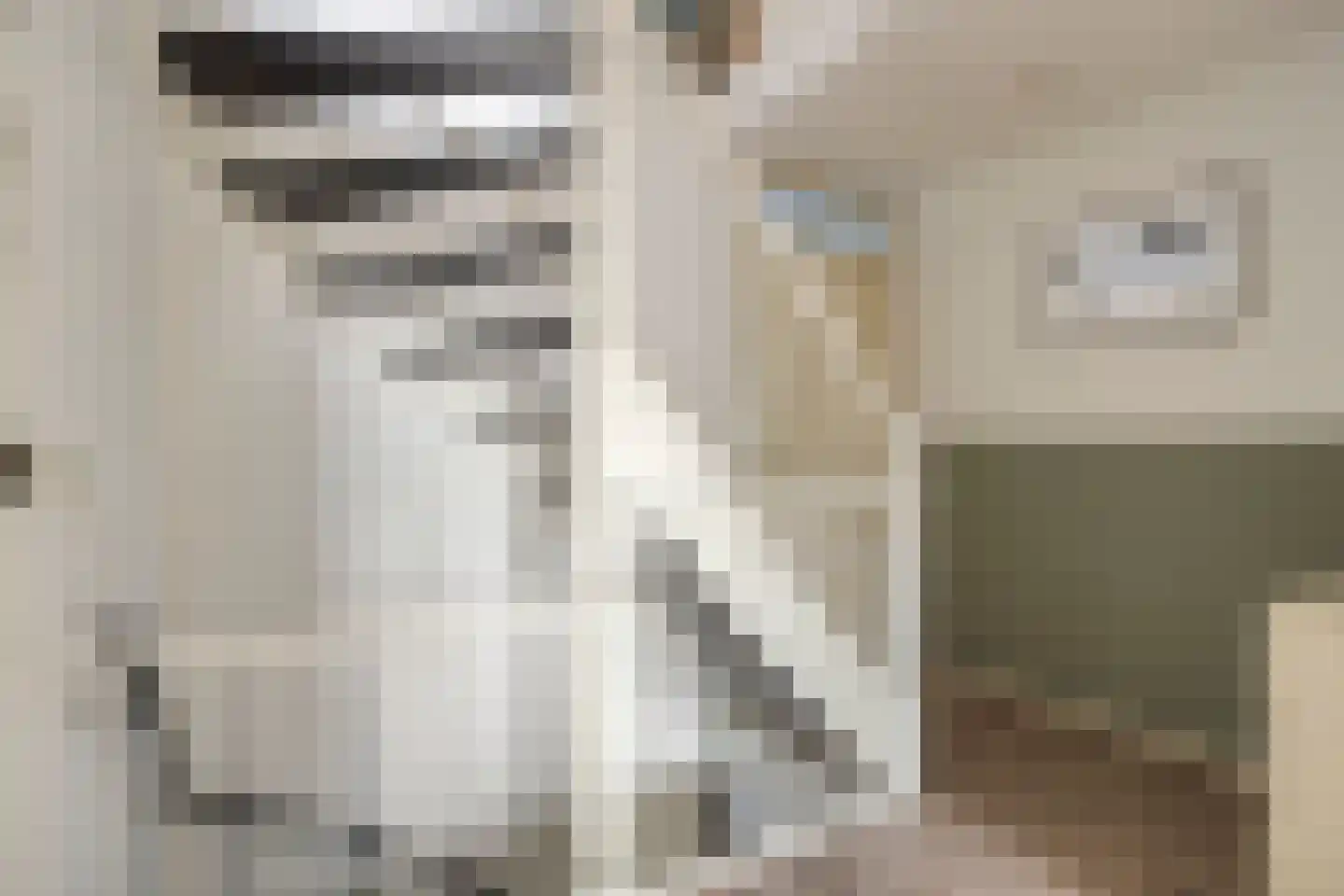 Vicarie 74 Heteren thumbnail 19