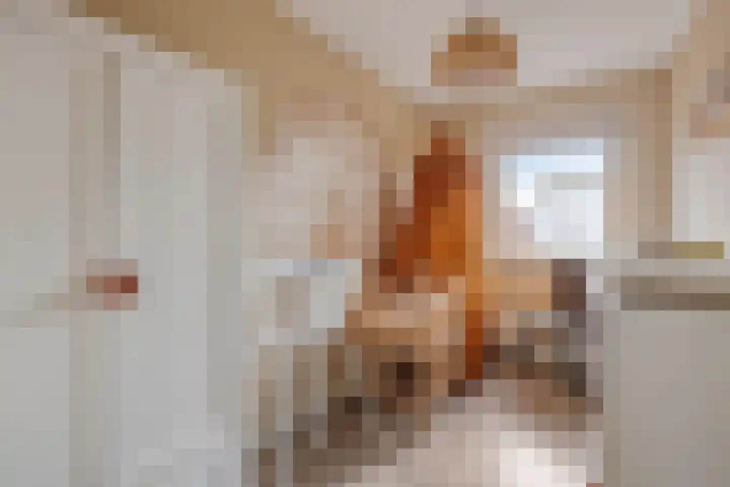 Vicarie 74 Heteren thumbnail 23