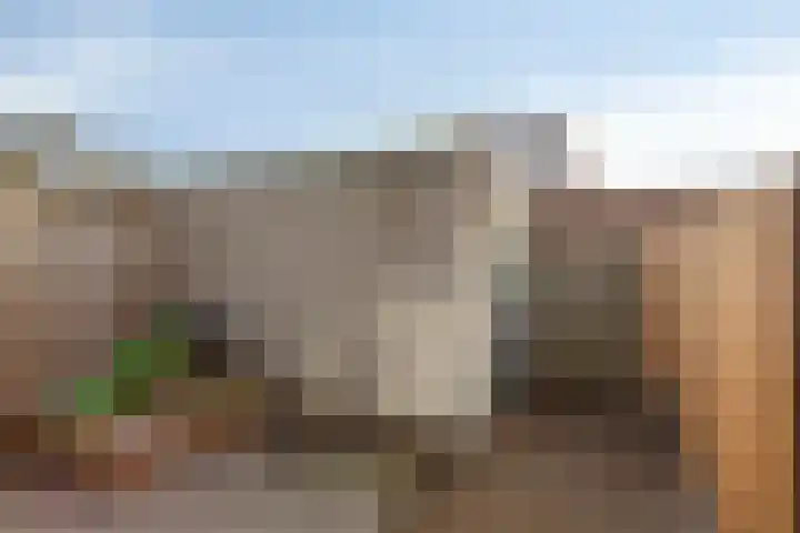 Vicarie 74 Heteren thumbnail 35