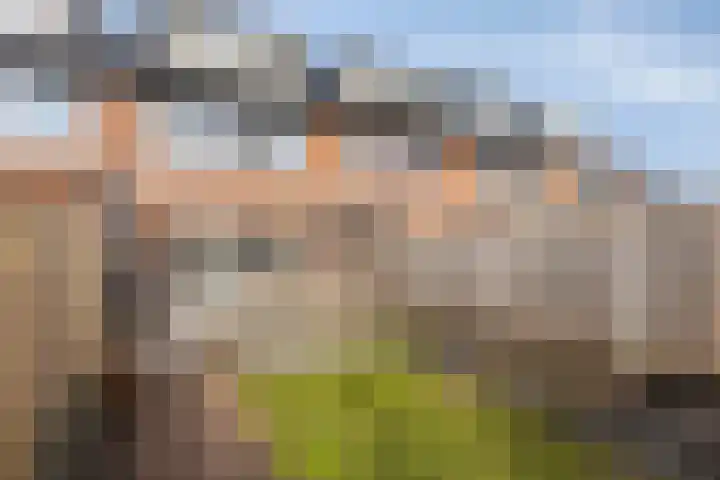 Vicarie 74 Heteren thumbnail 4