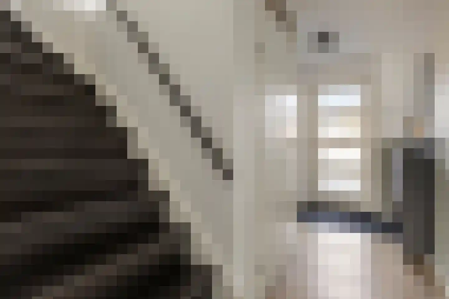 Vicarie 74 Heteren thumbnail 7