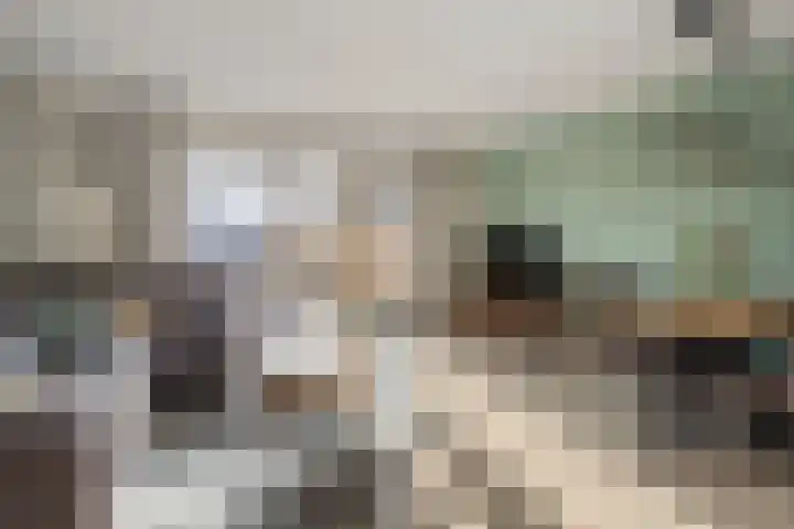 Vicarie 74 Heteren thumbnail 9