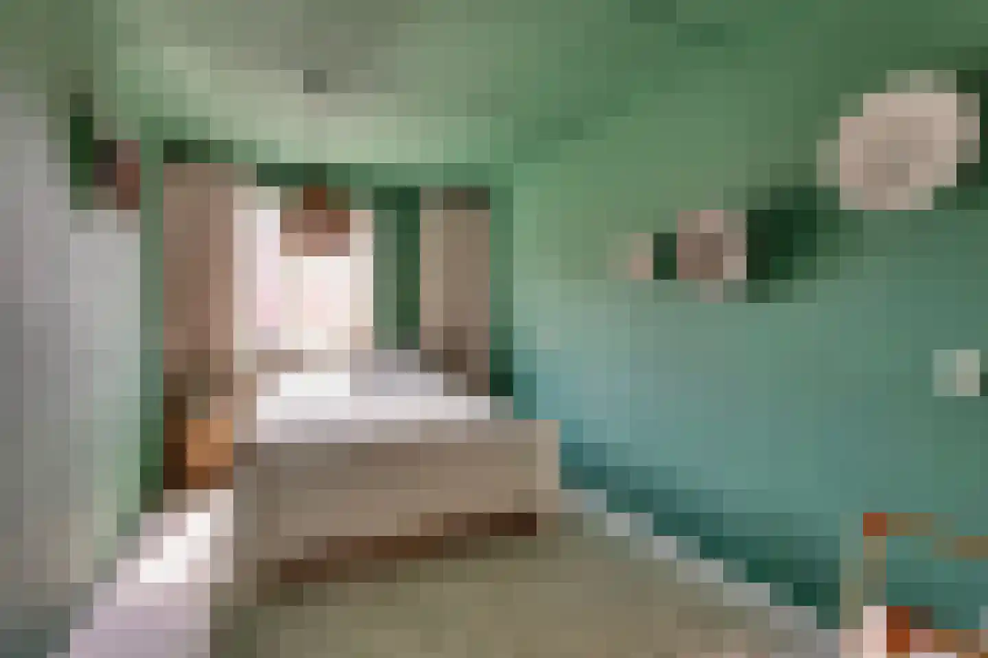 Vicarie 9 Holten thumbnail 16