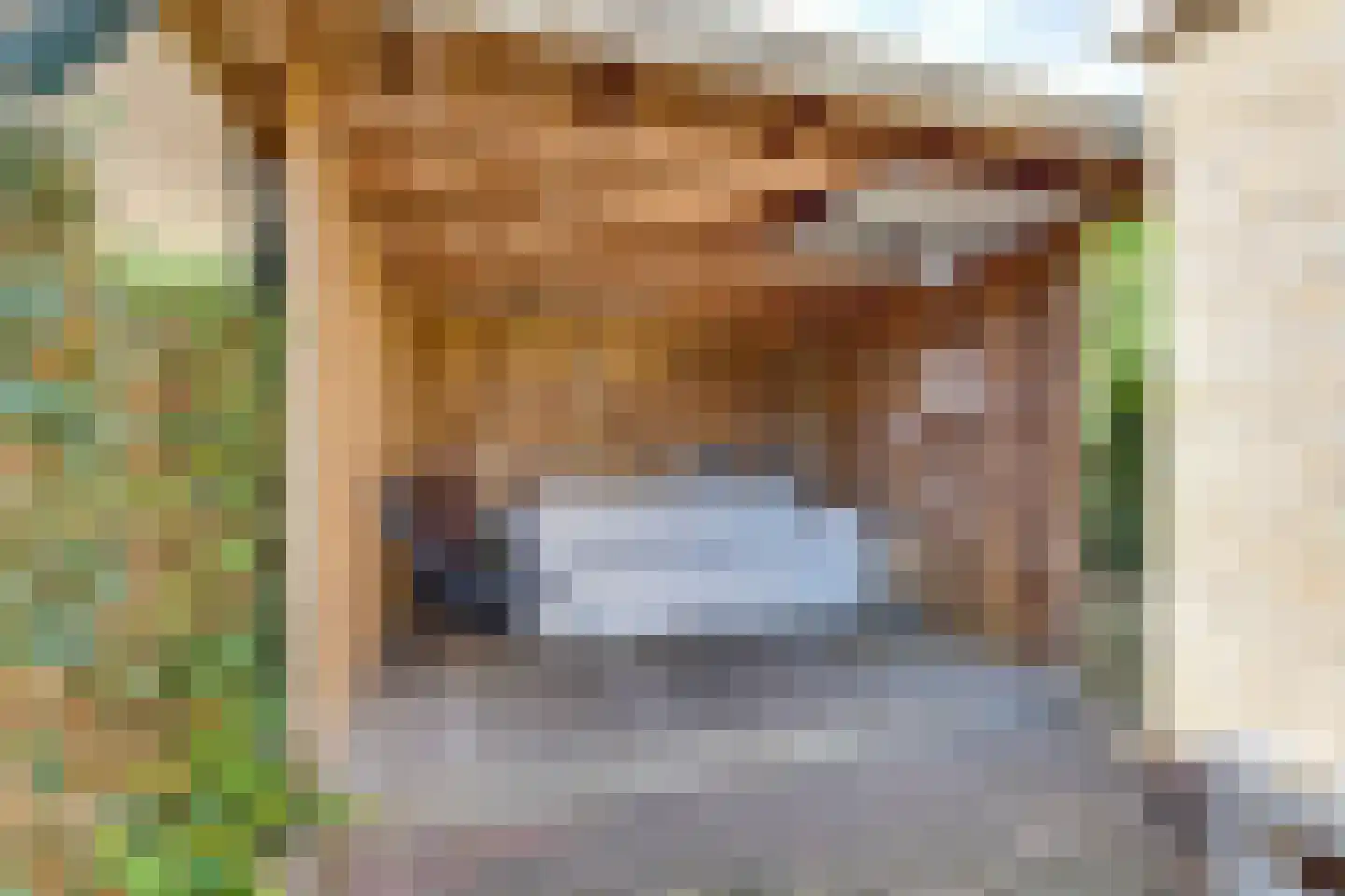 Vicarie 9 Holten thumbnail 31