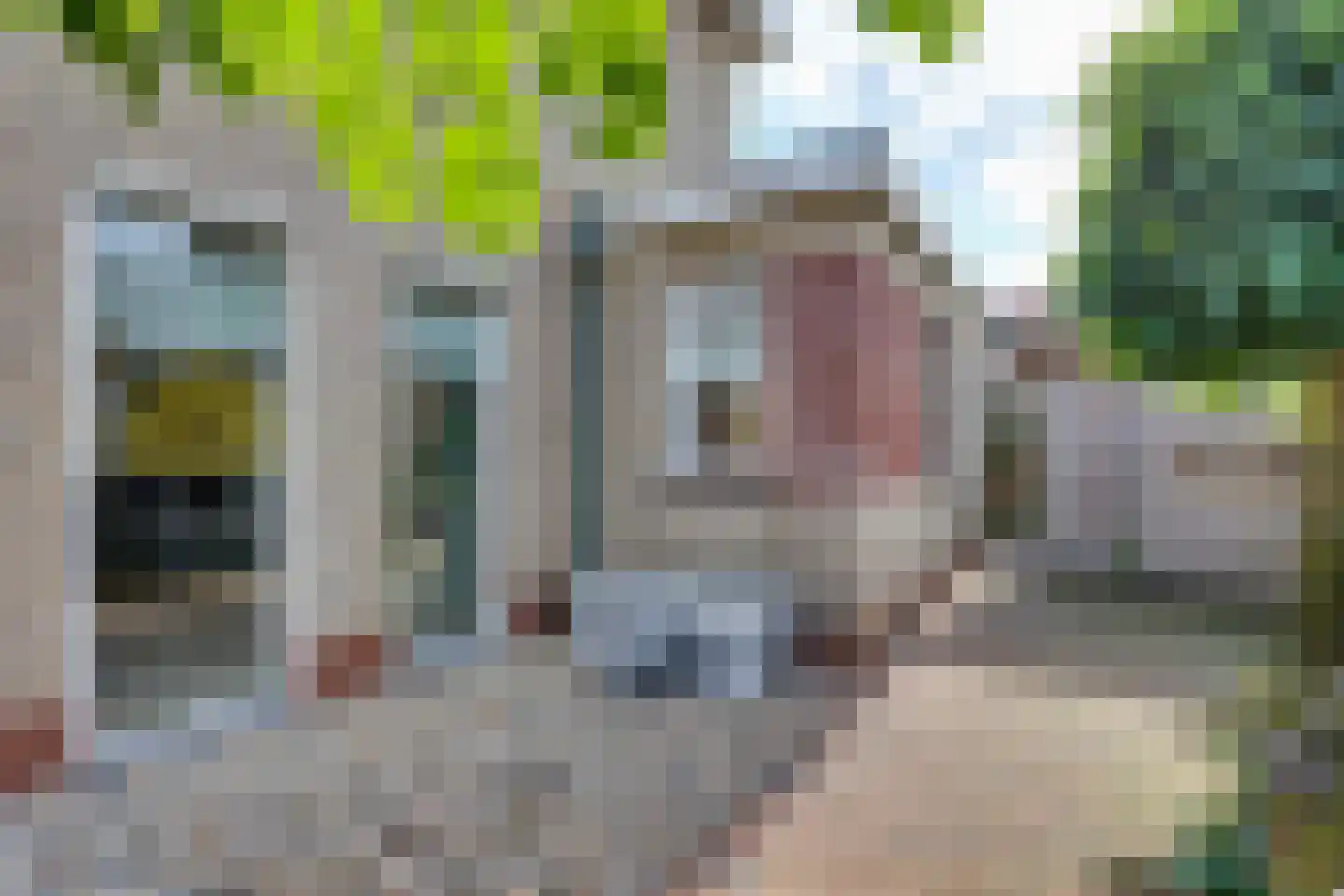Vicarie 9 Holten thumbnail 32