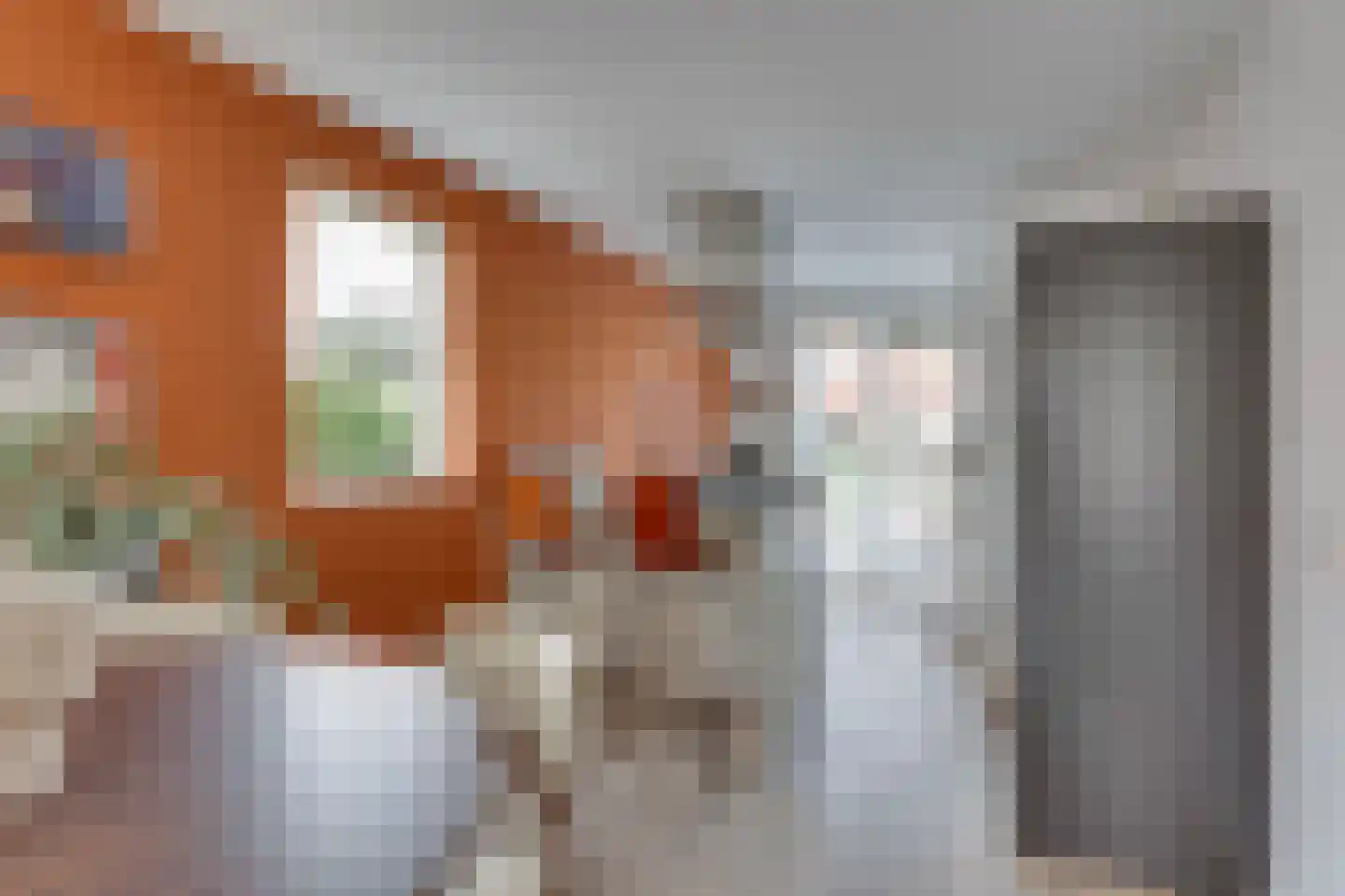 Vicarie 9 Holten thumbnail 8