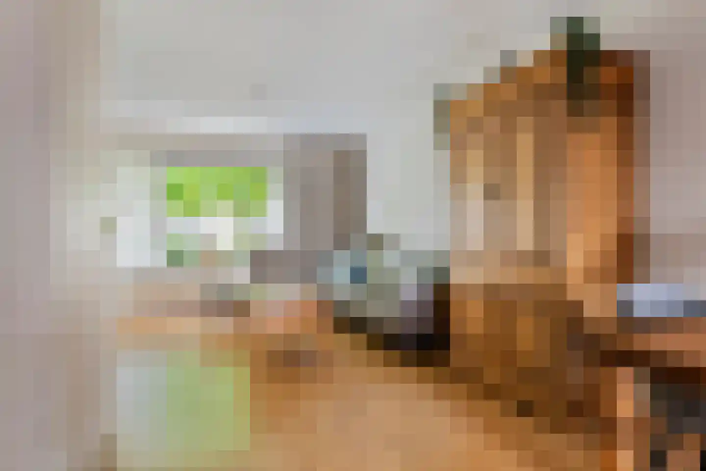 Vicariehof 5 Beneden-Leeuwen thumbnail 10