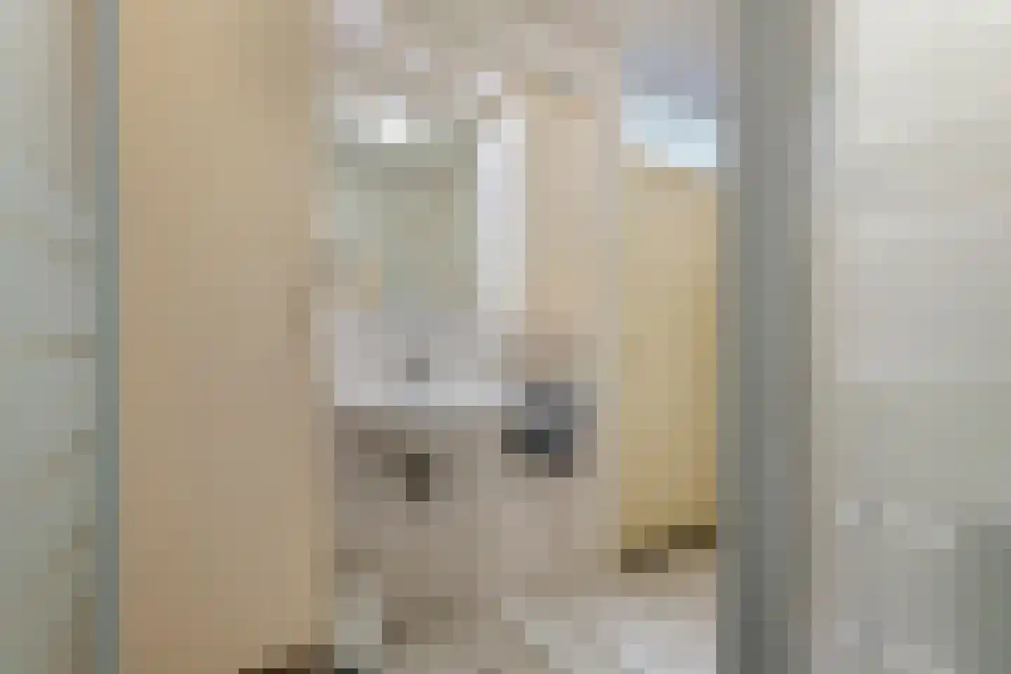 Vicariehof 5 Beneden-Leeuwen thumbnail 17