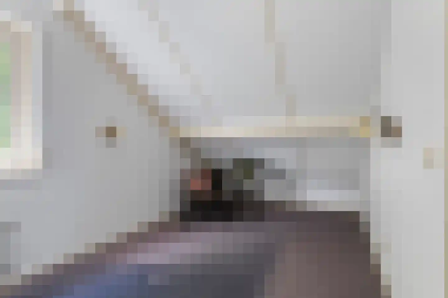 Vicariehof 5 Beneden-Leeuwen thumbnail 19