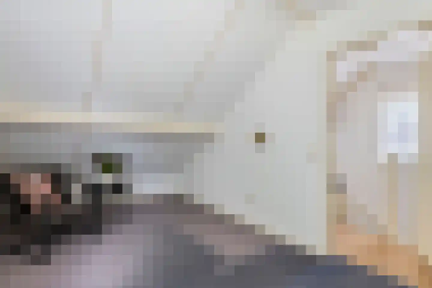 Vicariehof 5 Beneden-Leeuwen thumbnail 20