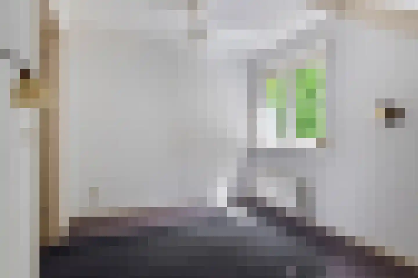 Vicariehof 5 Beneden-Leeuwen thumbnail 21