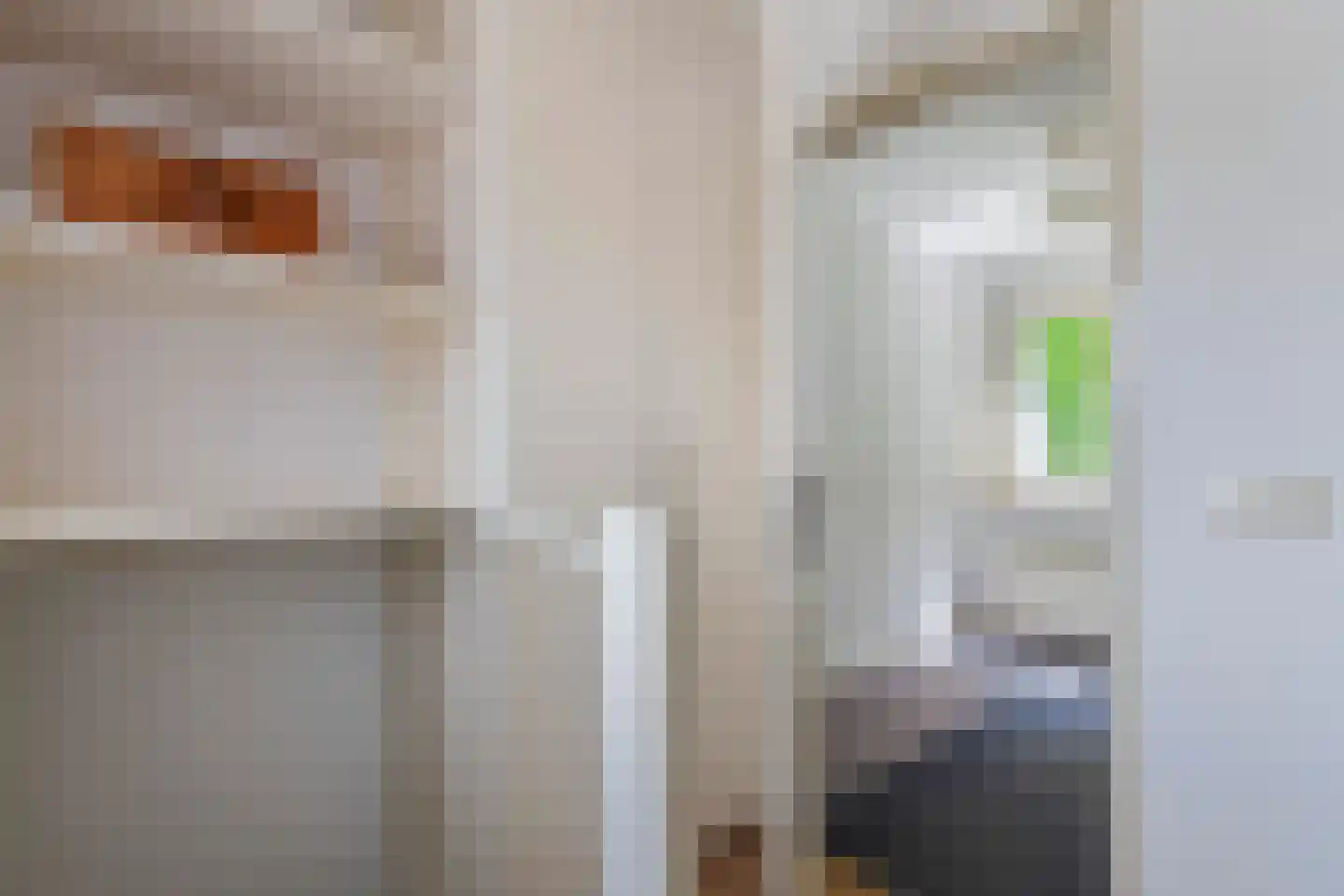 Vicariehof 5 Beneden-Leeuwen thumbnail 22