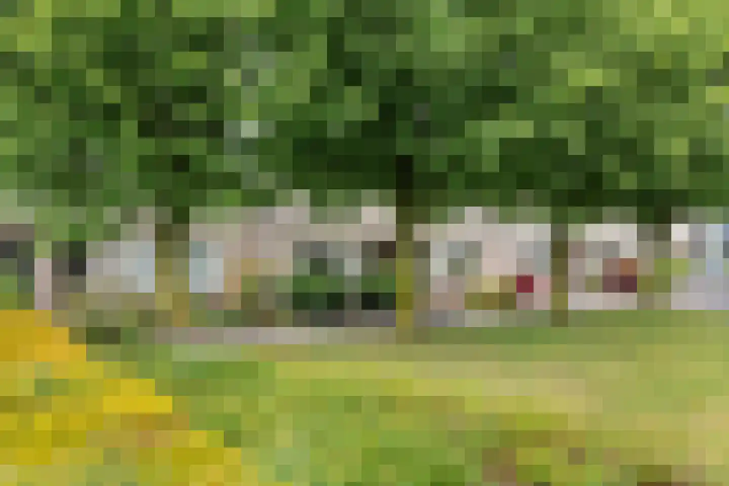 Vicariehof 5 Beneden-Leeuwen thumbnail 32