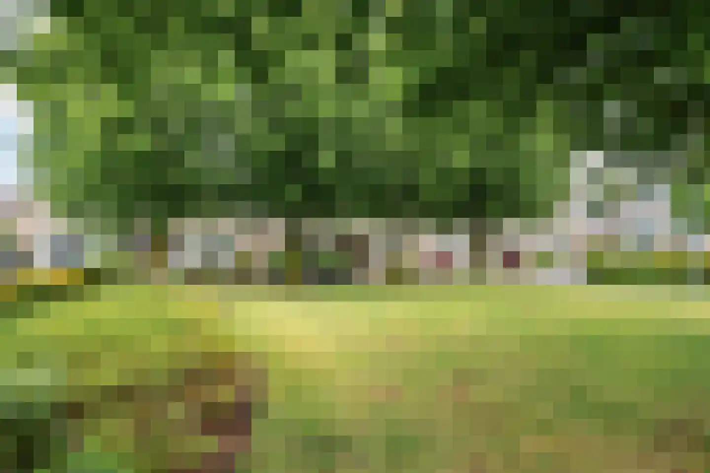 Vicariehof 5 Beneden-Leeuwen thumbnail 33
