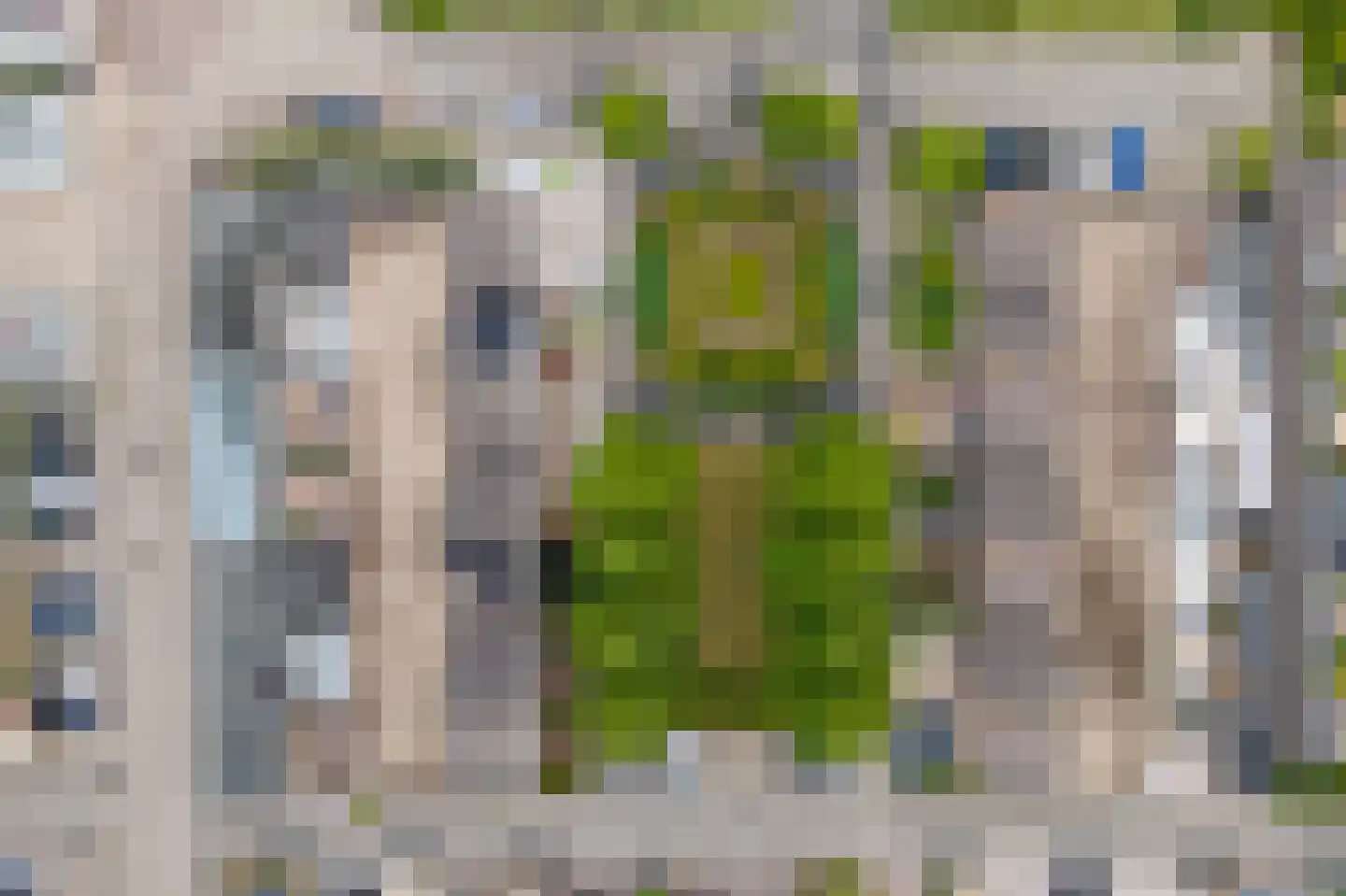 Vicariehof 5 Beneden-Leeuwen thumbnail 36