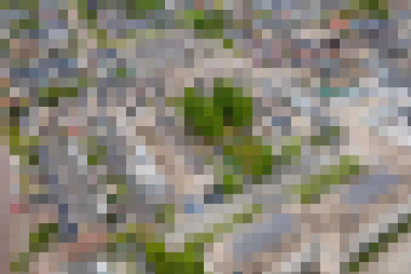 Vicariehof 5 Beneden-Leeuwen thumbnail 38