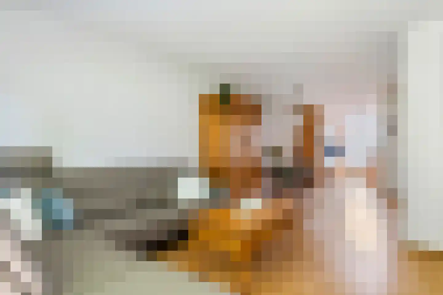 Vicariehof 5 Beneden-Leeuwen thumbnail 4