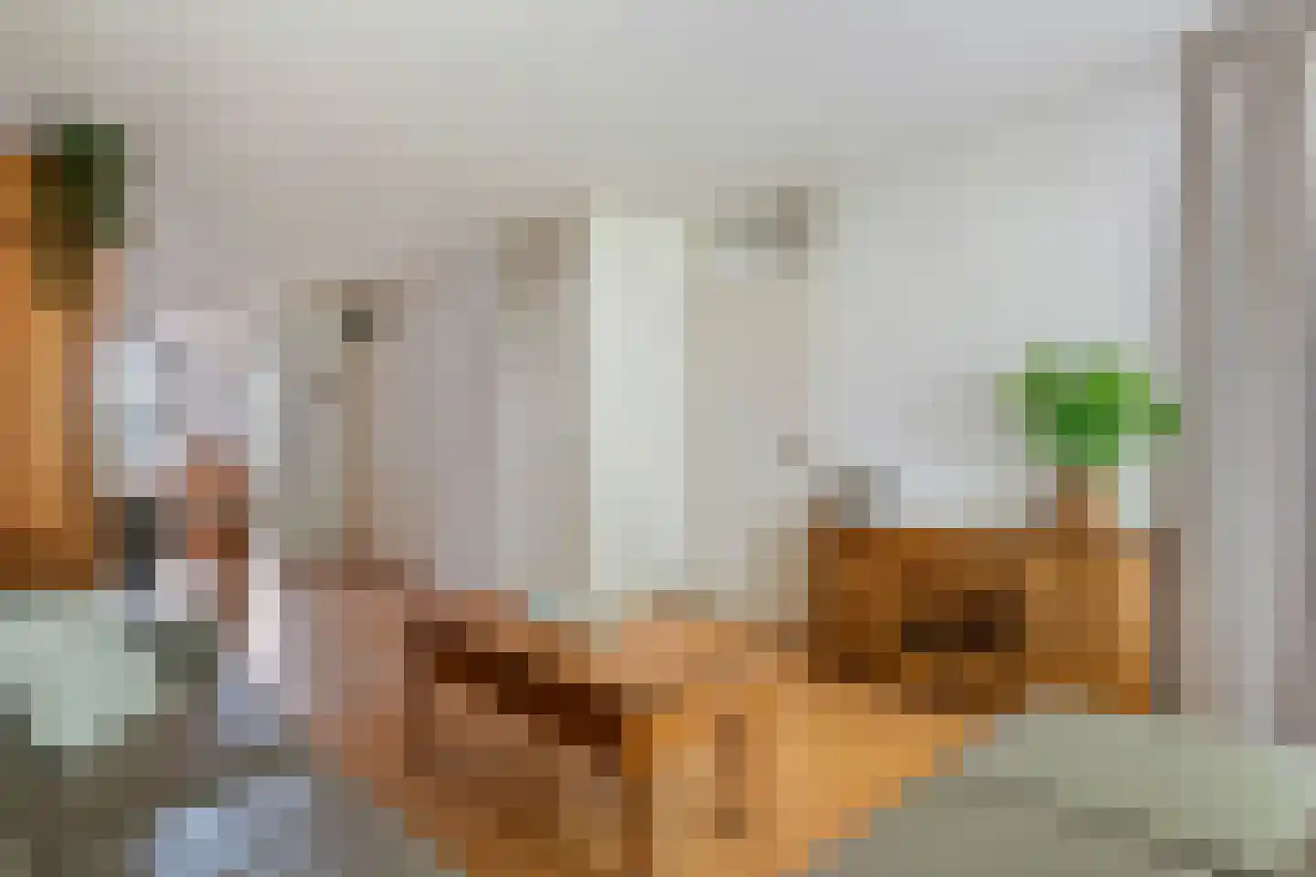 Vicariehof 5 Beneden-Leeuwen thumbnail 5