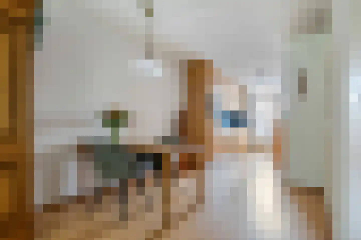 Vicariehof 5 Beneden-Leeuwen thumbnail 6