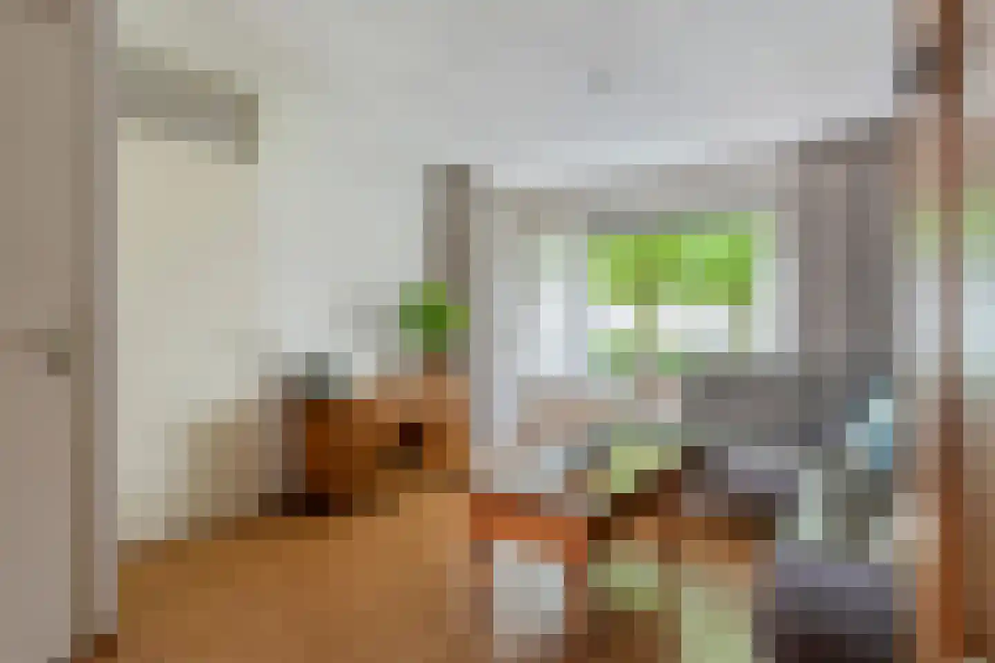 Vicariehof 5 Beneden-Leeuwen thumbnail 9