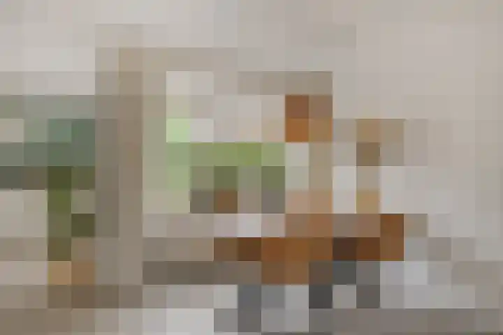 Vicarielaan 10 Heerde thumbnail 11