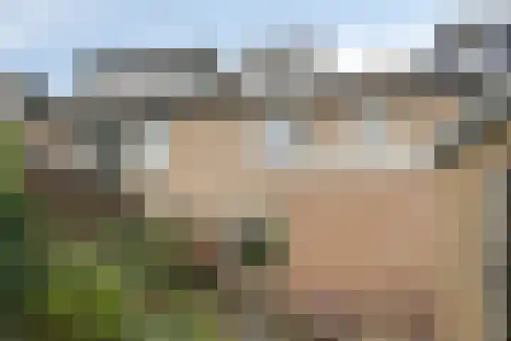 Vicarielaan 10 Heerde thumbnail 27